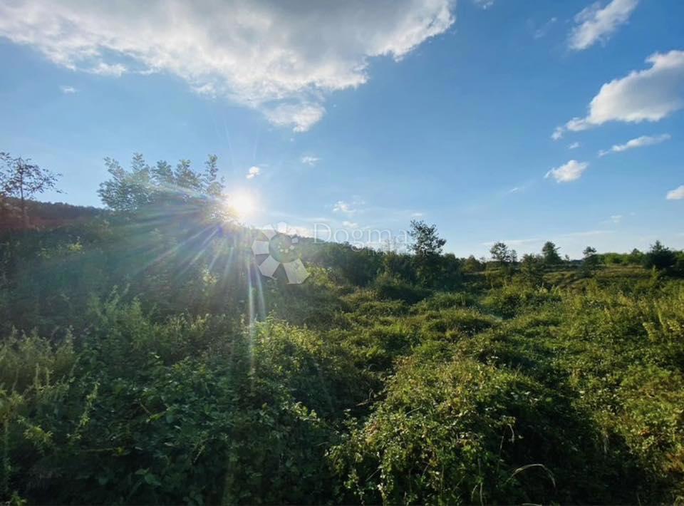 Zazidljivo zemljišče Rakovica, 19.300m2