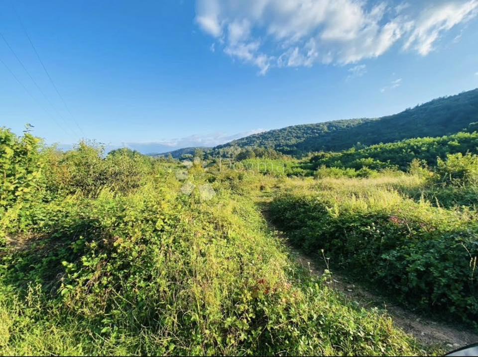 Zazidljivo zemljišče Rakovica, 19.300m2