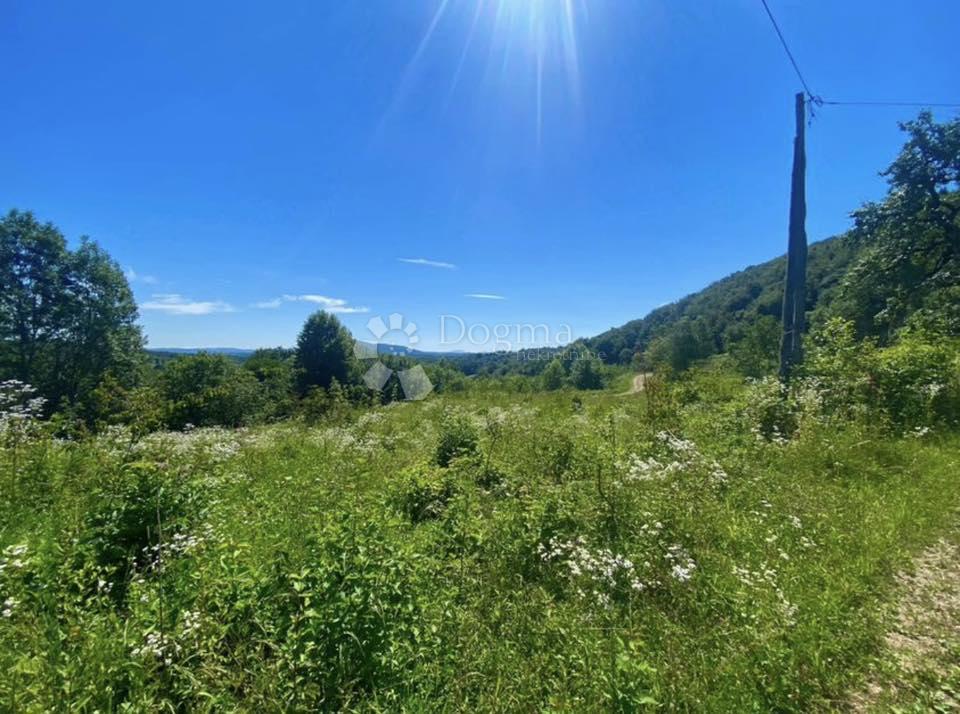 Zazidljivo zemljišče Rakovica, 19.300m2