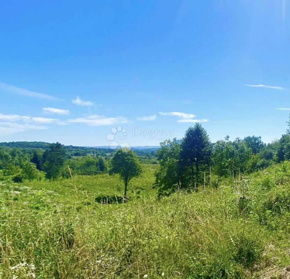Zazidljivo zemljišče Rakovica, 19.300m2