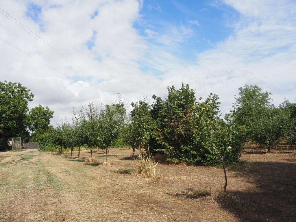 Hiša Zmajevac, Kneževi Vinogradi, 67m2