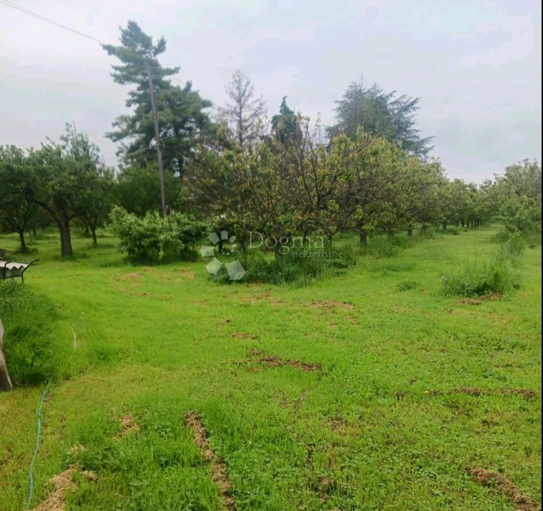 Hiša Zmajevac, Kneževi Vinogradi, 67m2