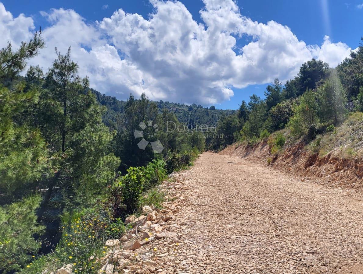 Kmetijsko zemljišče Vela Luka, 3.122m2