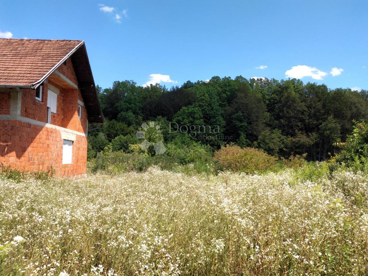 Hiša Staro Selo Topusko, Topusko, 224m2