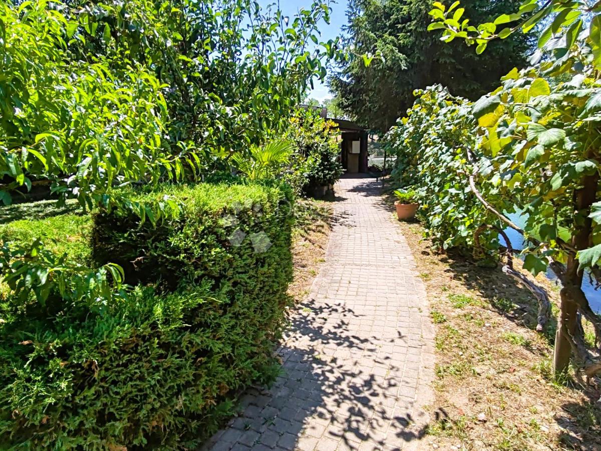 Zazidljivo zemljišče Petrijanec, 44.888m2