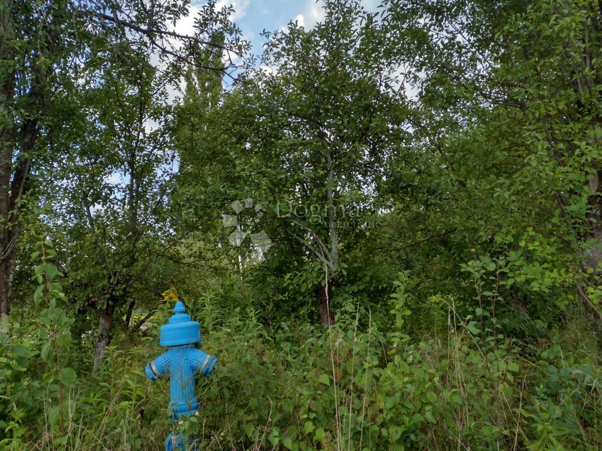 Hiša Staro Selo Topusko, Topusko, 150m2