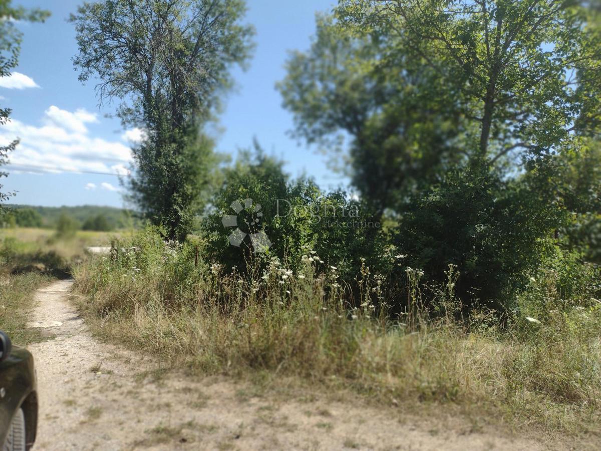 Hiša Staro Selo Topusko, Topusko, 150m2