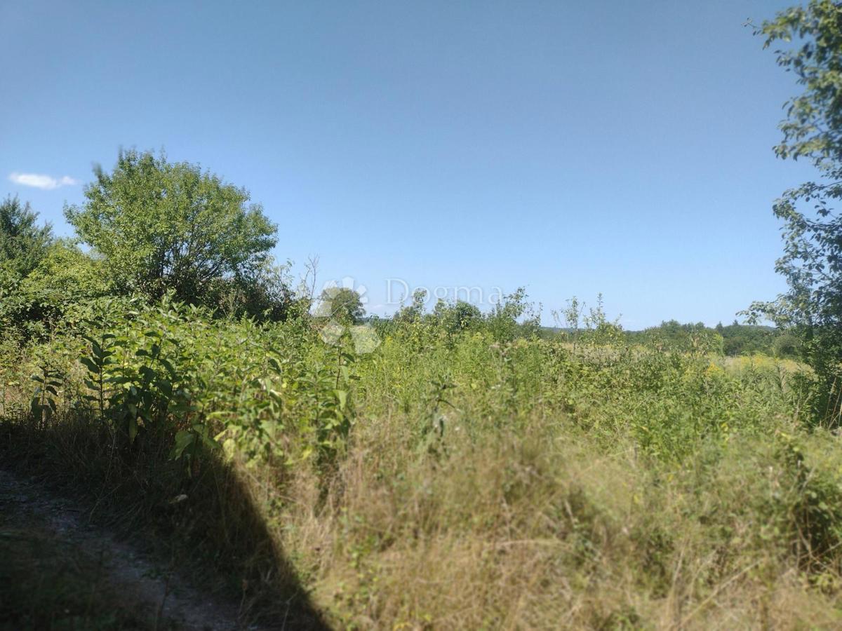 Hiša Staro Selo Topusko, Topusko, 150m2