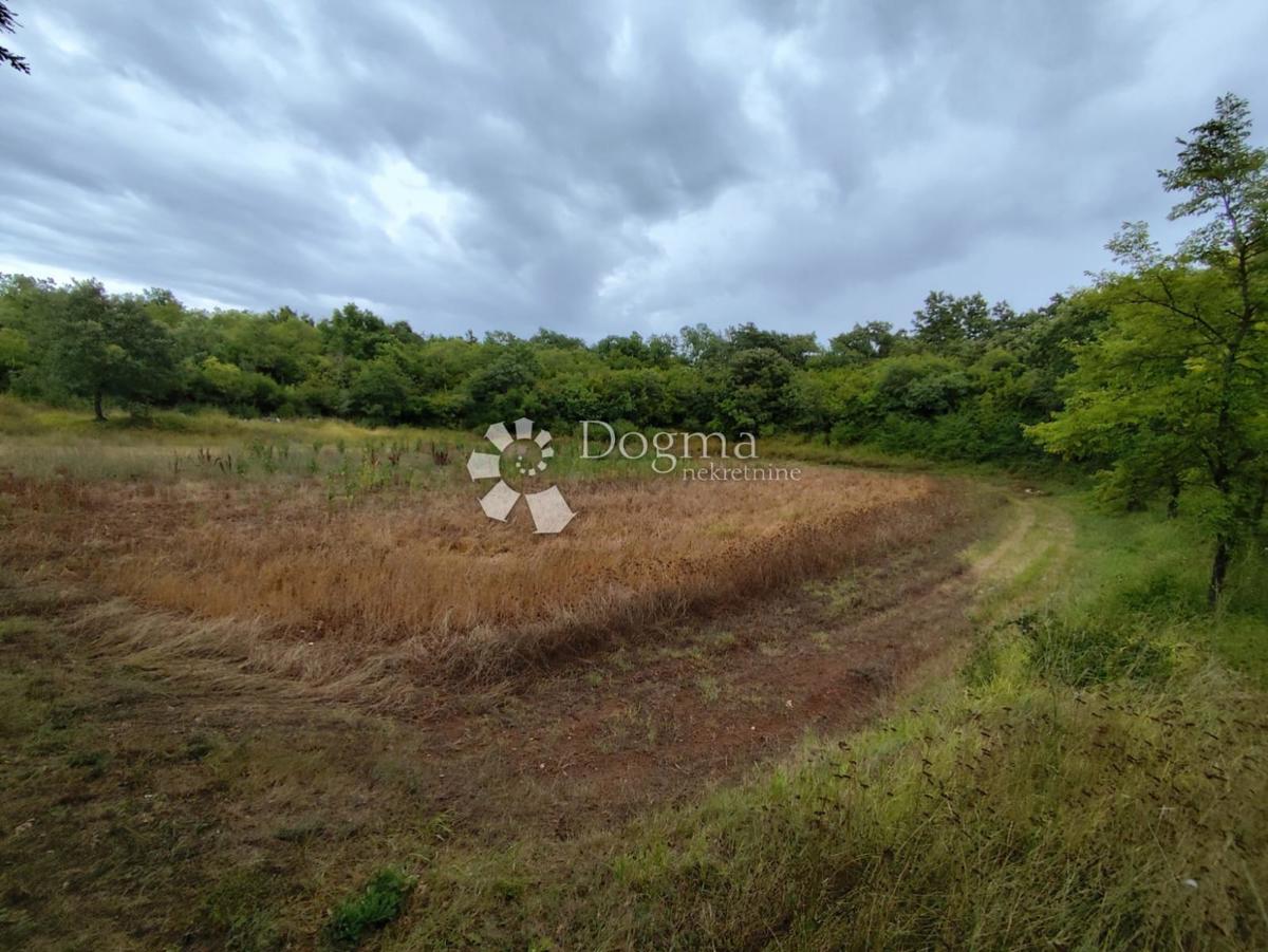 Kmetijsko zemljišče Vodnjan, 511m2
