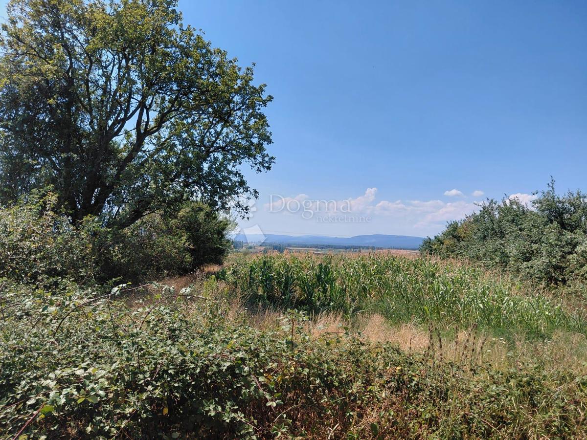 Hiša Vetovo, Kutjevo, 120m2