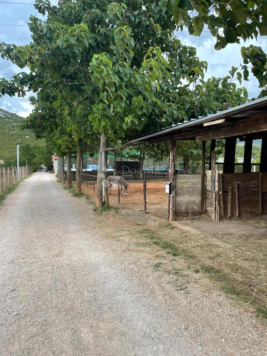 Zazidljivo zemljišče Dubrava Kod Šibenika, Šibenik - Okolica, 20.000m2
