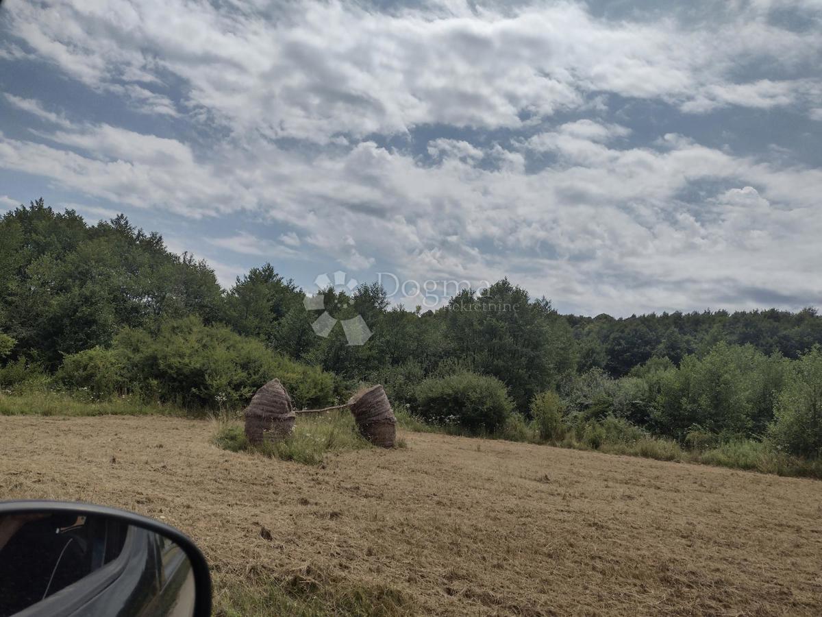 Hiša Gornji Sjeničak, Karlovac - Okolica, 90m2