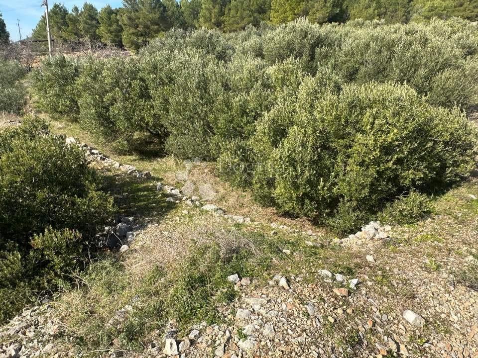 Zazidljivo zemljišče Pitve, Jelsa, 2.100m2