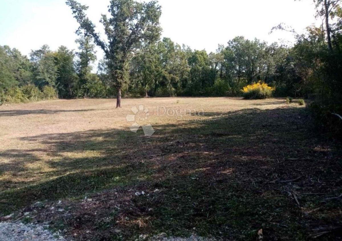 Kmetijsko zemljišče Funtana, 2.663m2
