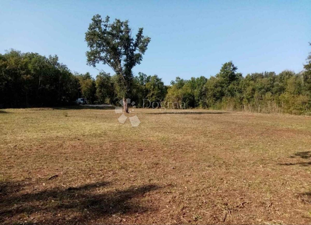 Kmetijsko zemljišče Funtana, 2.663m2