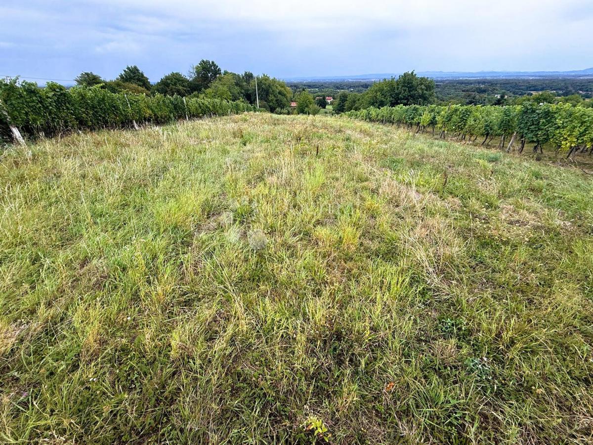 Zazidljivo zemljišče Okrugli Vrh, Sveti Juraj Na Bregu, 2.929m2