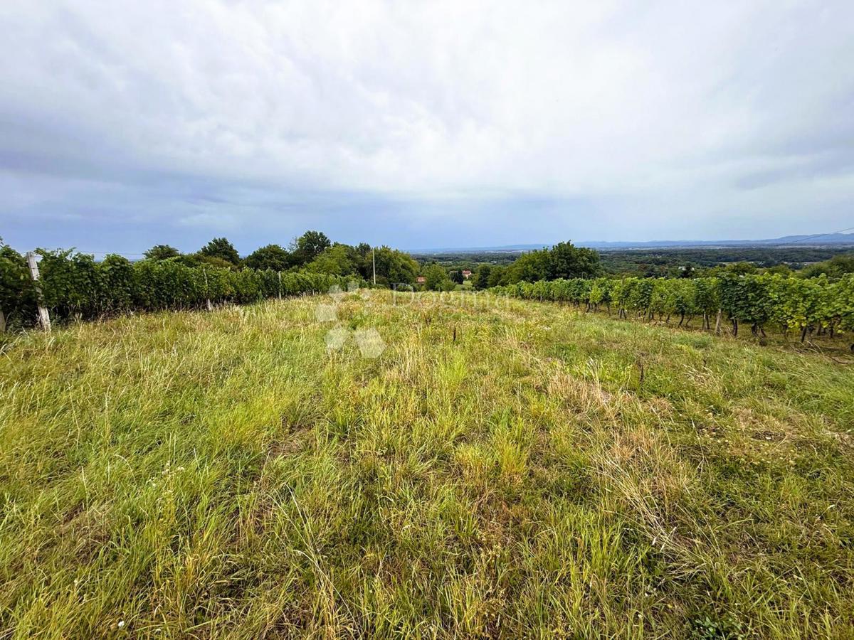 Zazidljivo zemljišče Okrugli Vrh, Sveti Juraj Na Bregu, 2.929m2