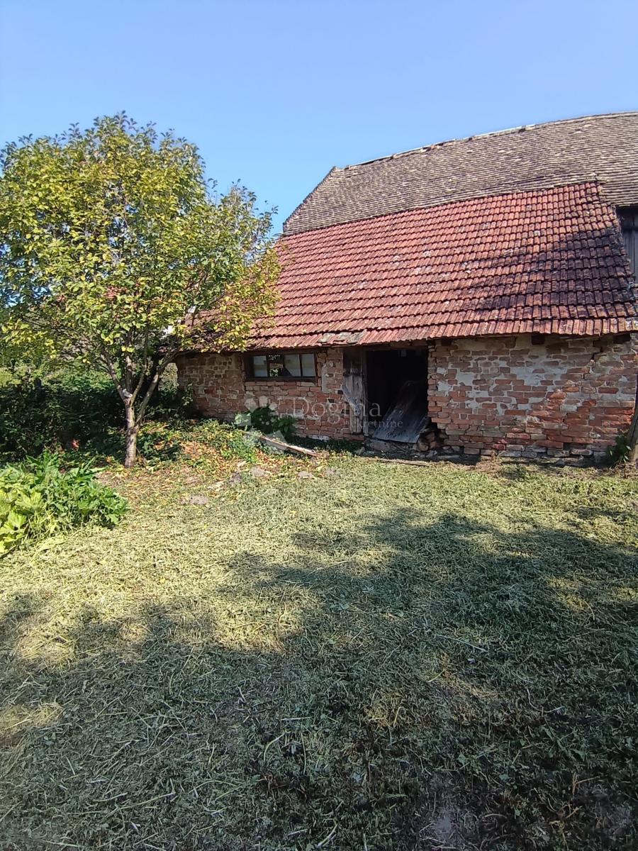 Hiša Darda, 1.150m2