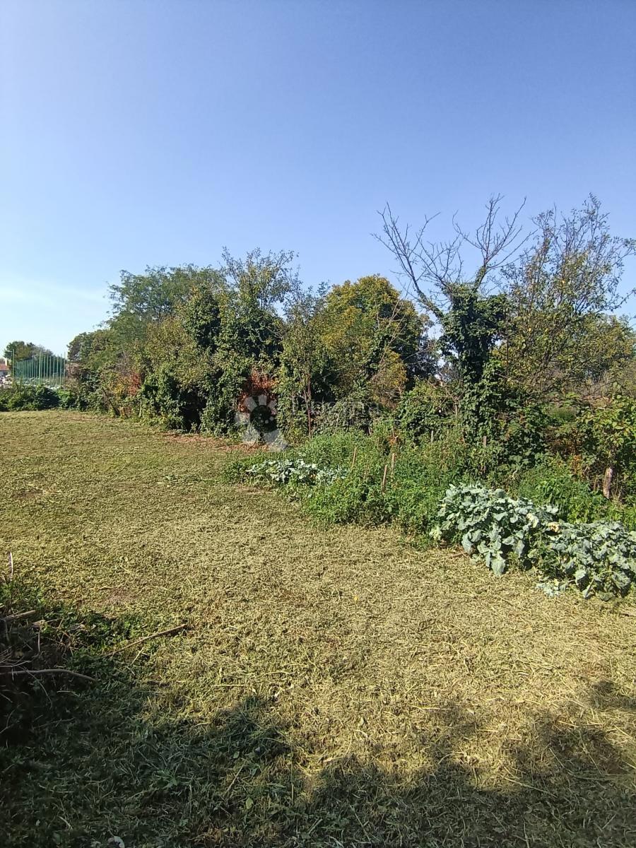 Hiša Darda, 1.150m2