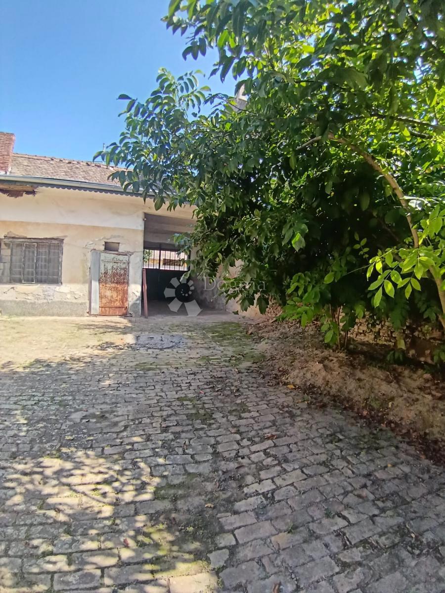 Hiša Darda, 1.150m2