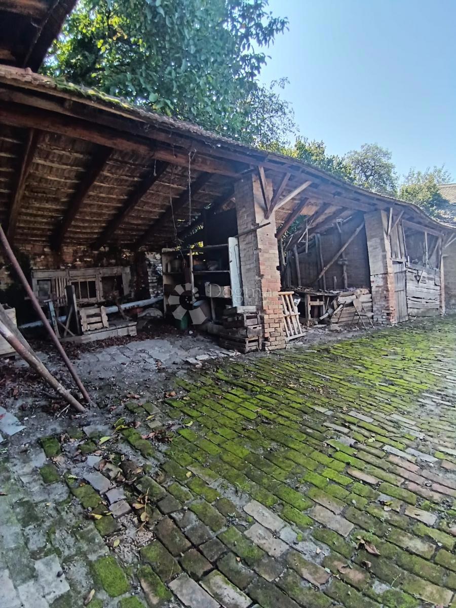 Hiša Darda, 1.150m2