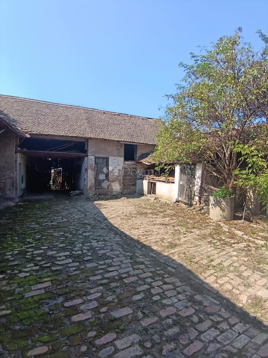 Hiša Darda, 1.150m2