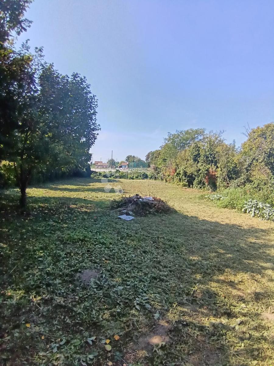 Hiša Darda, 1.150m2