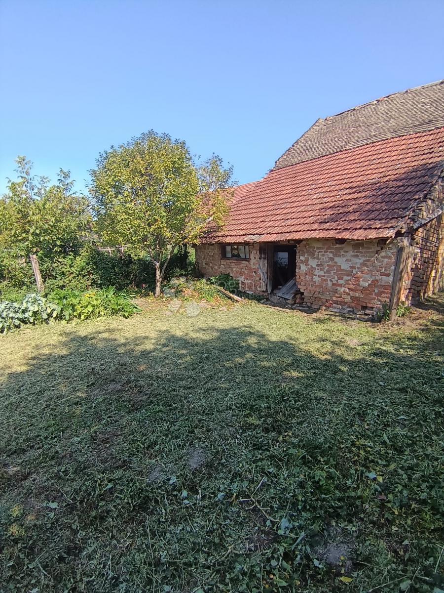 Hiša Darda, 1.150m2