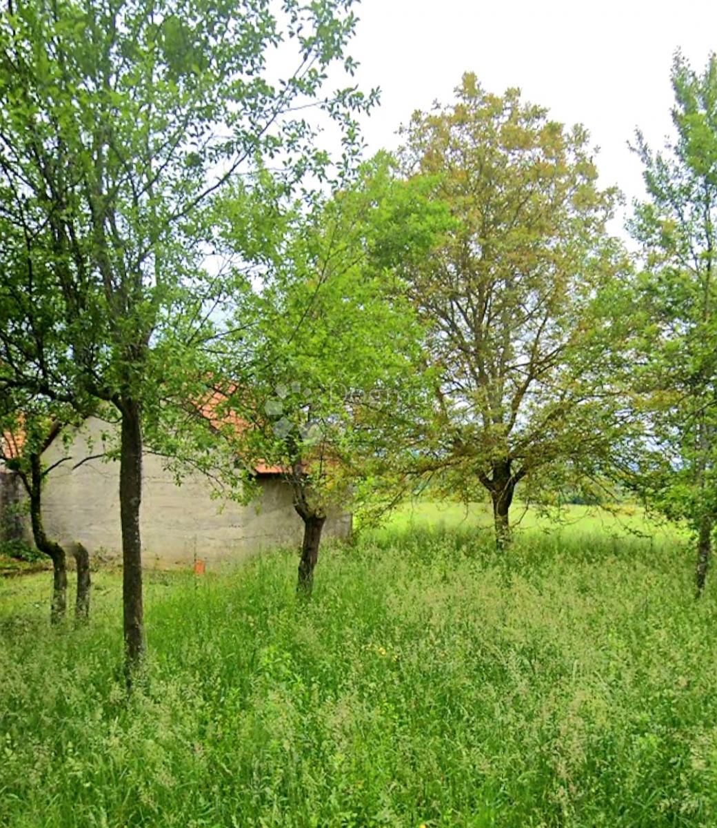Hiša Plaški, 140m2