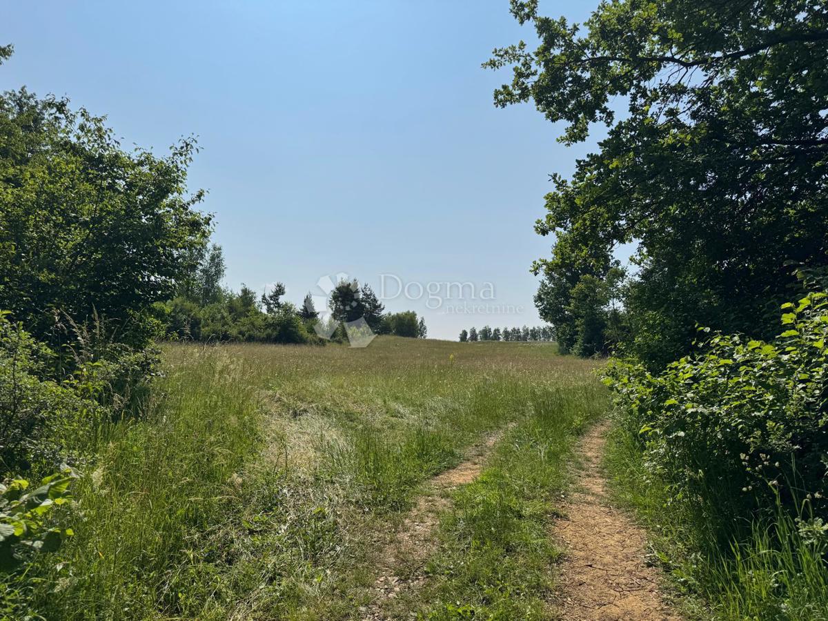Kmetijsko zemljišče Smiljansko Polje, Gospić - Okolica, 6.000m2