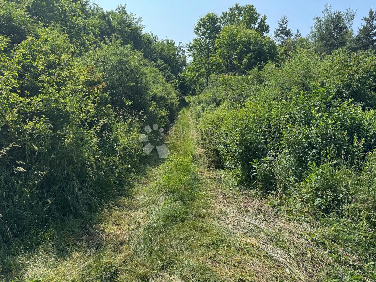 Kmetijsko zemljišče Smiljansko Polje, Gospić - Okolica, 6.000m2