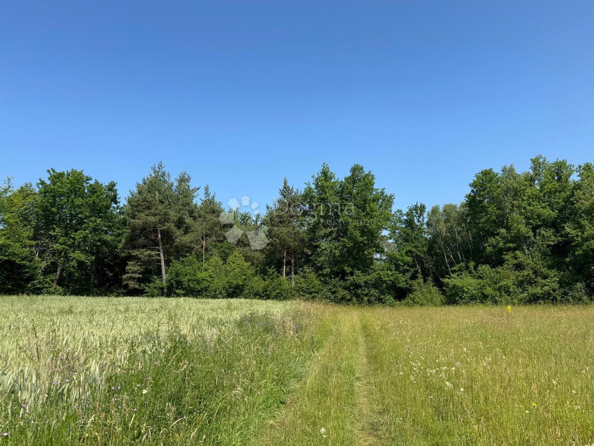 Kmetijsko zemljišče Smiljansko Polje, Gospić - Okolica, 6.000m2