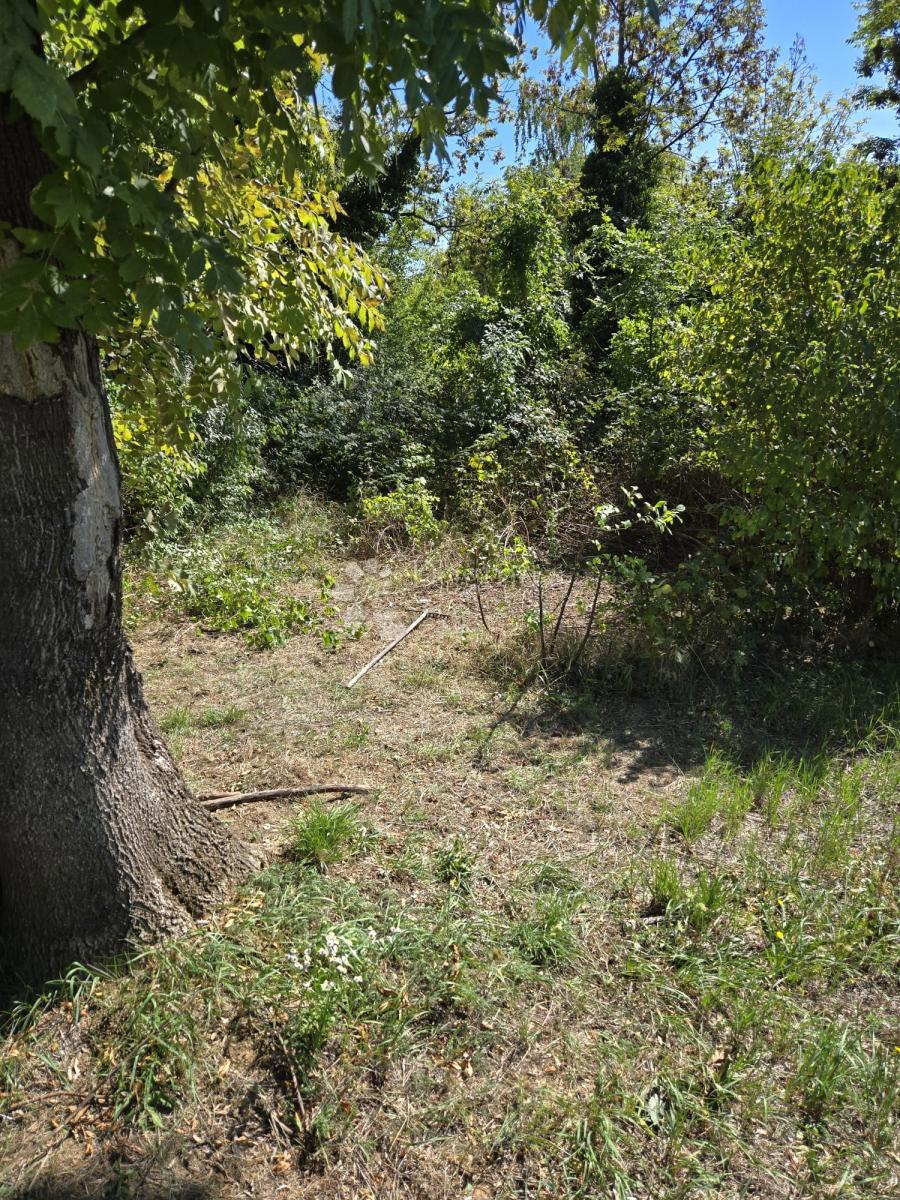 Kmetijsko zemljišče Maksimir, 1.780m2