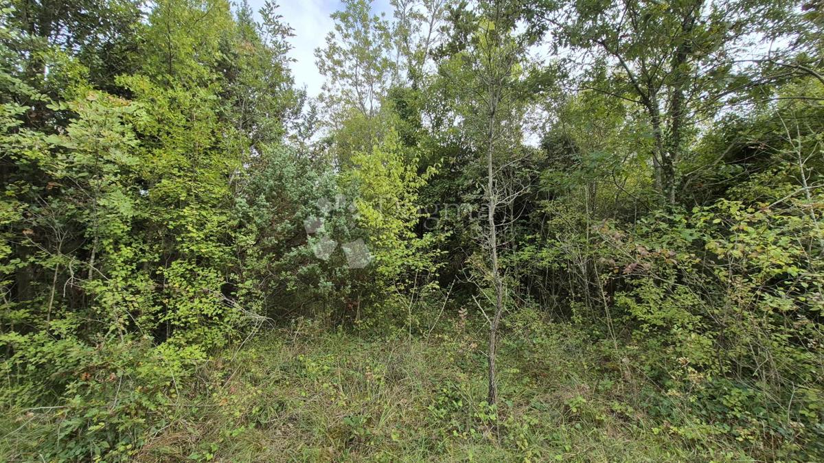 Kmetijsko zemljišče 11.980 m2, 600 m od morja