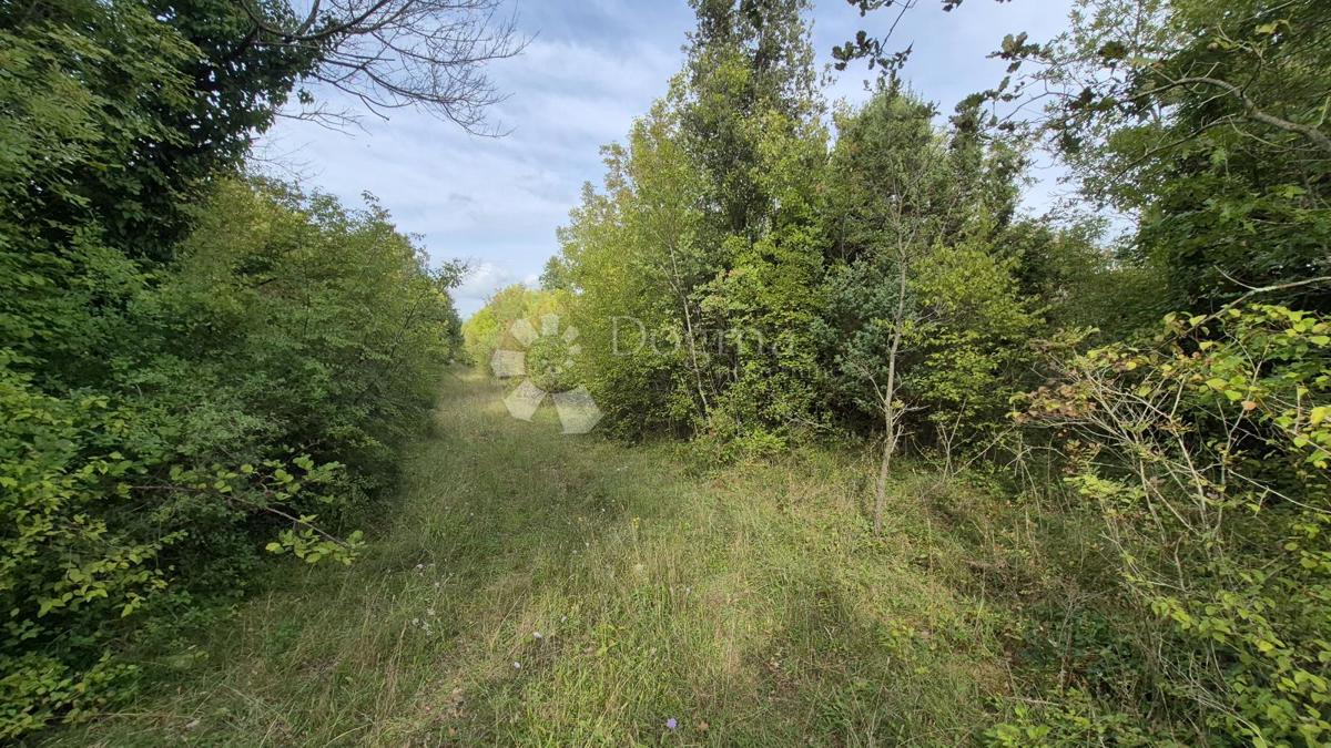 Kmetijsko zemljišče 11.980 m2, 600 m od morja