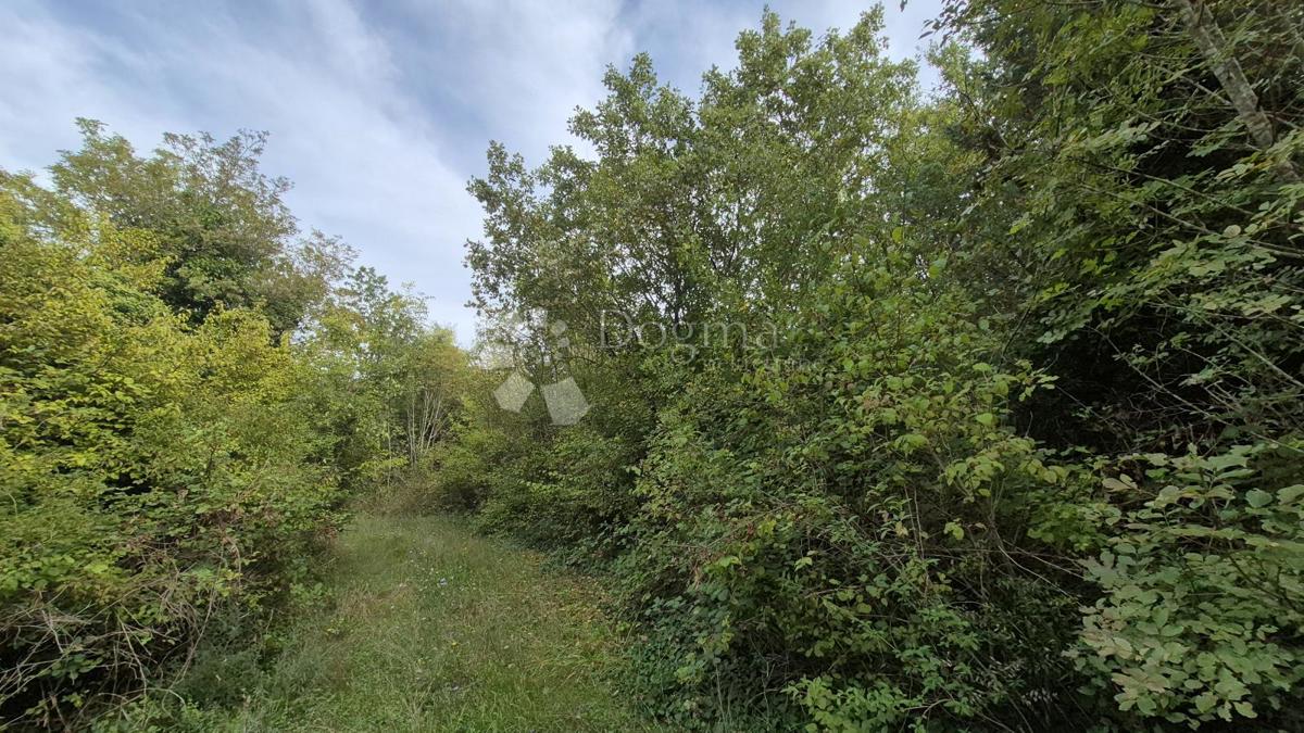 Kmetijsko zemljišče 11.980 m2, 600 m od morja