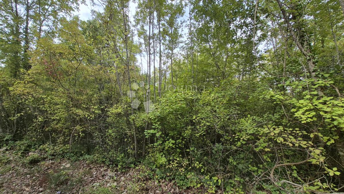 Kmetijsko zemljišče 11.980 m2, 600 m od morja