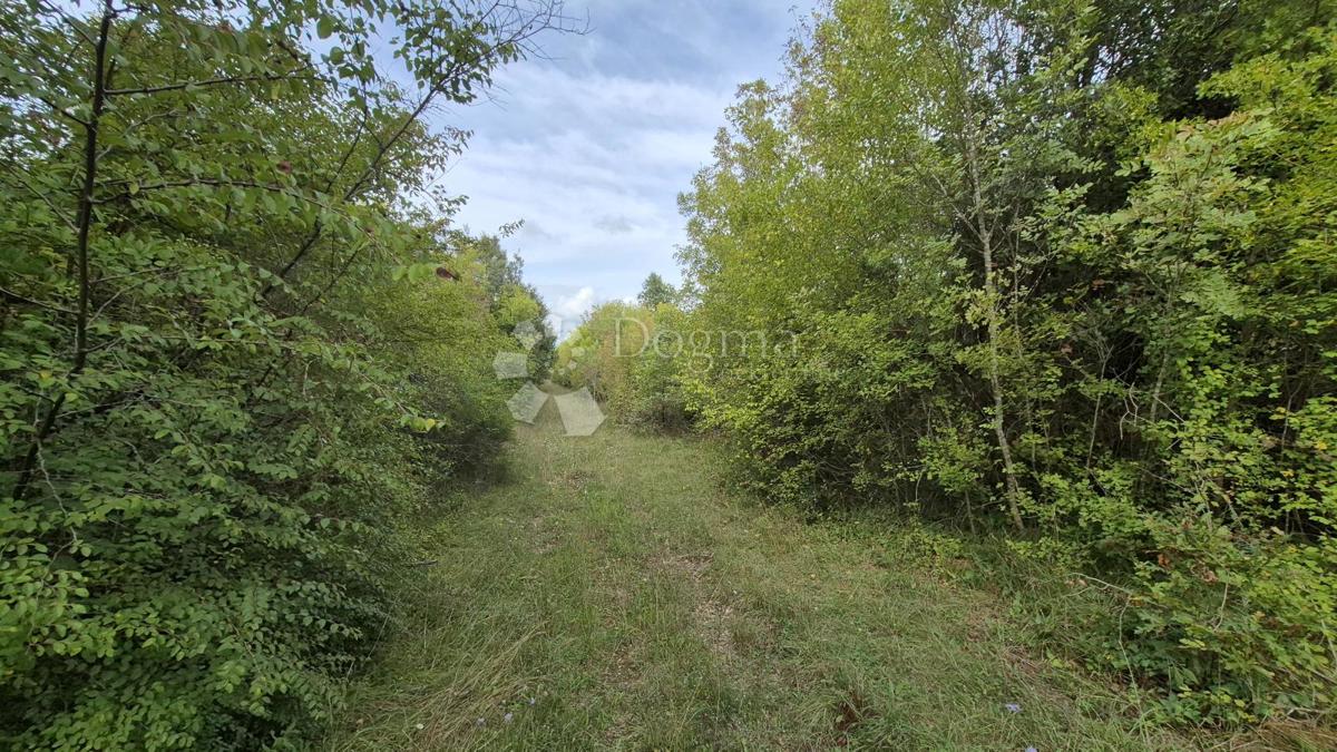Kmetijsko zemljišče 11.980 m2, 600 m od morja