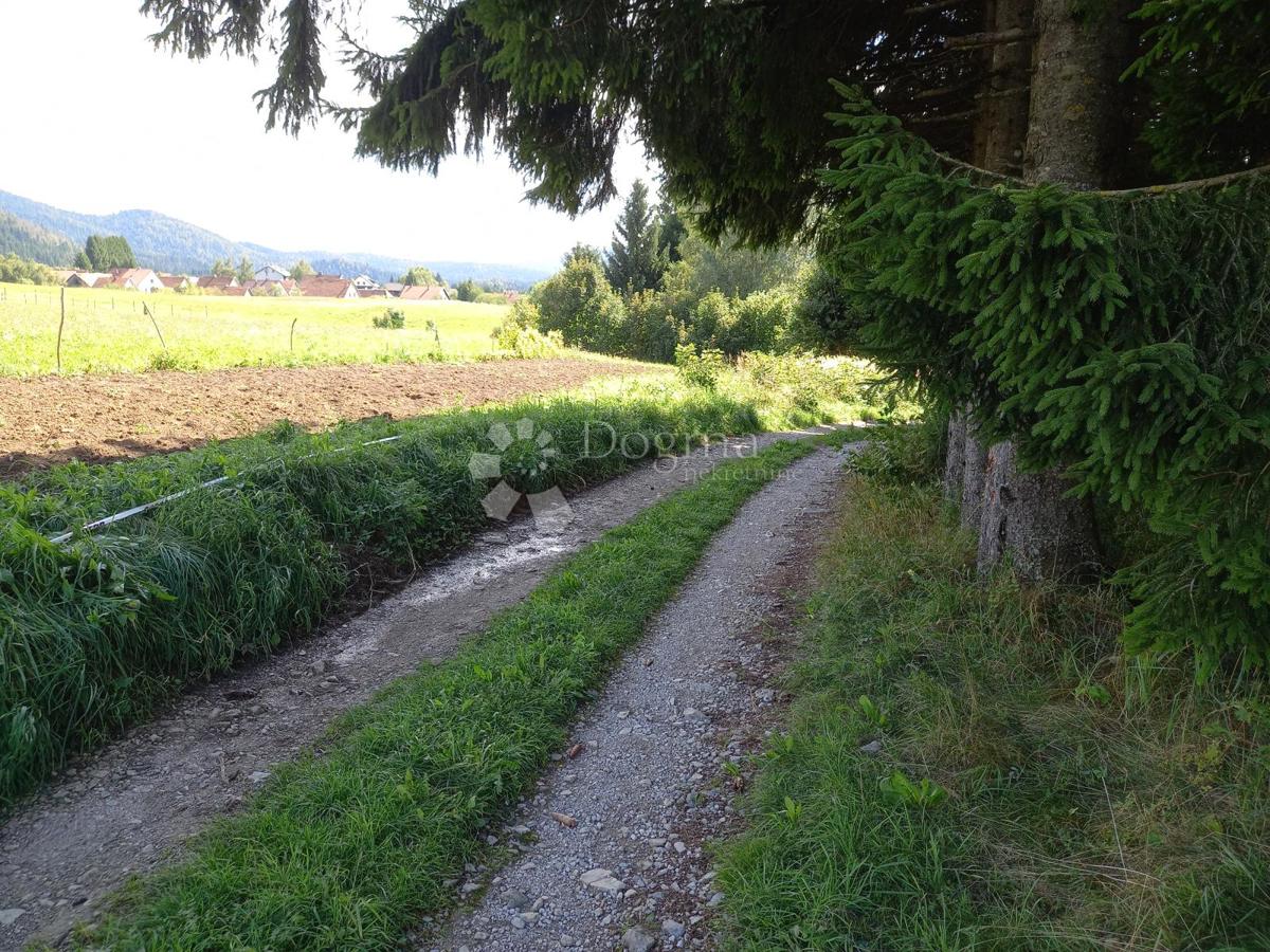 Hiša Ravna Gora, 106m2