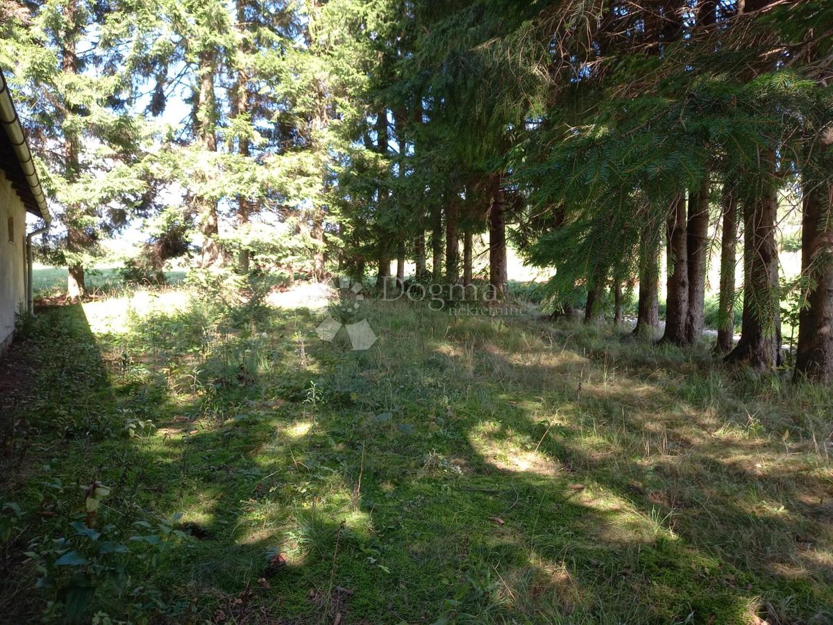 Hiša Ravna Gora, 106m2