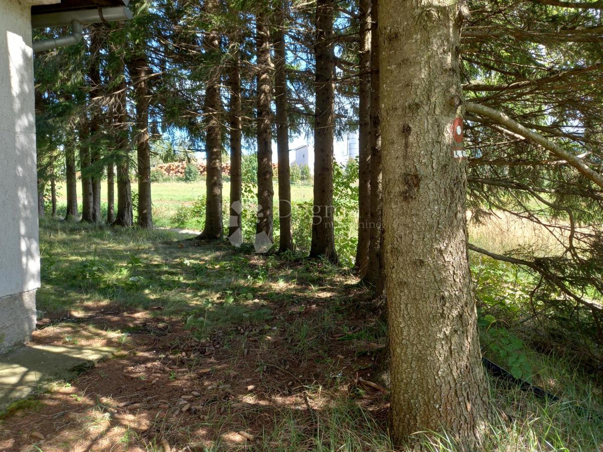 Hiša Ravna Gora, 106m2