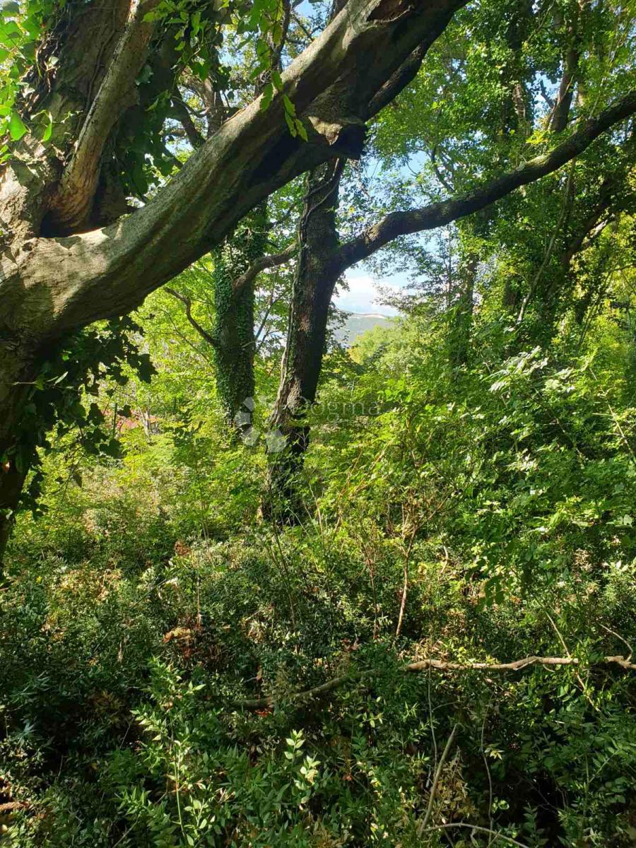 Zazidljivo zemljišče Bakarac, Kraljevica, 2.750m2