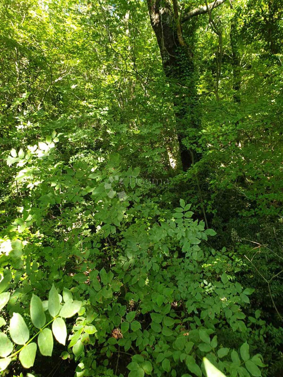 Zazidljivo zemljišče Bakarac, Kraljevica, 2.750m2