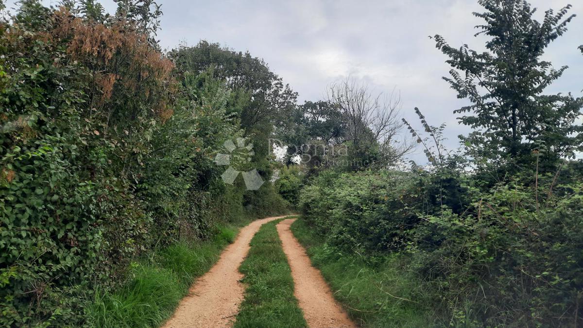 Kmetijsko zemljišče Jadreški, Ližnjan, 500m2