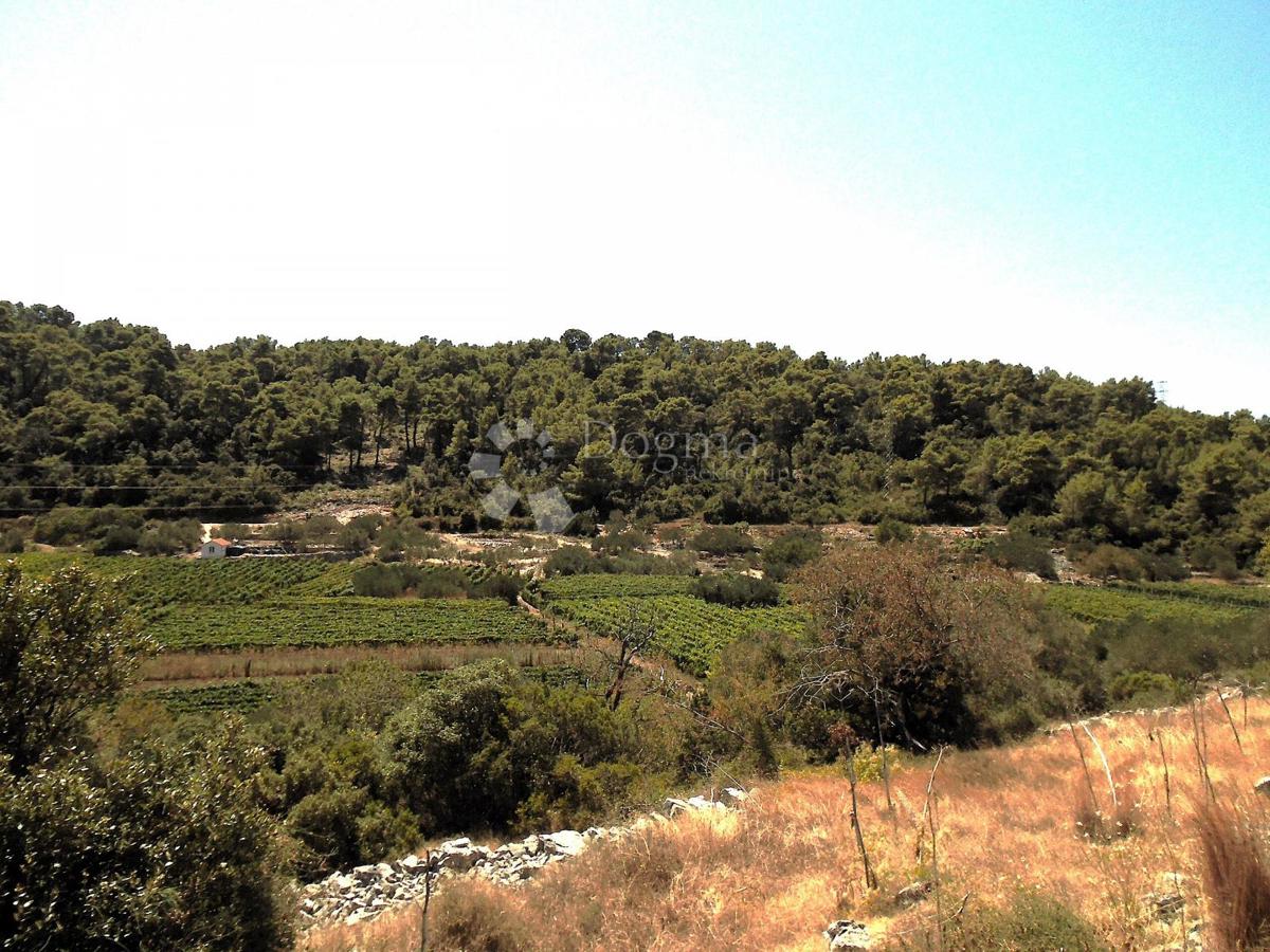 Kmetijsko zemljišče Čara, Korčula, 39.823m2