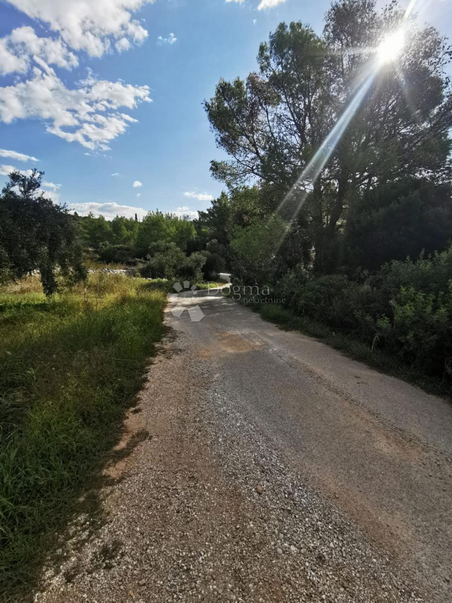 Kmetijsko zemljišče Čara, Korčula, 39.823m2