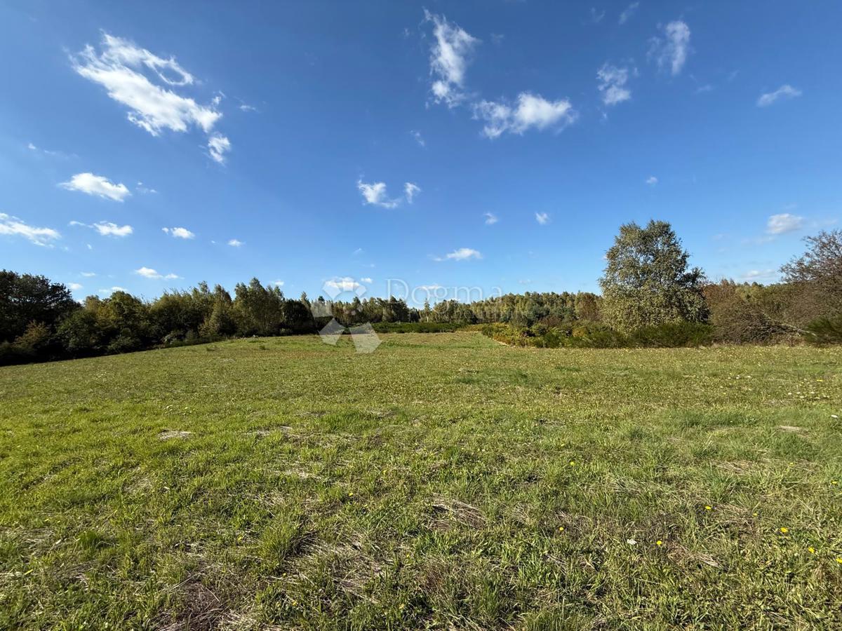 Zazidljivo zemljišče Veliki Žitnik, Gospić - Okolica, 12.158m2