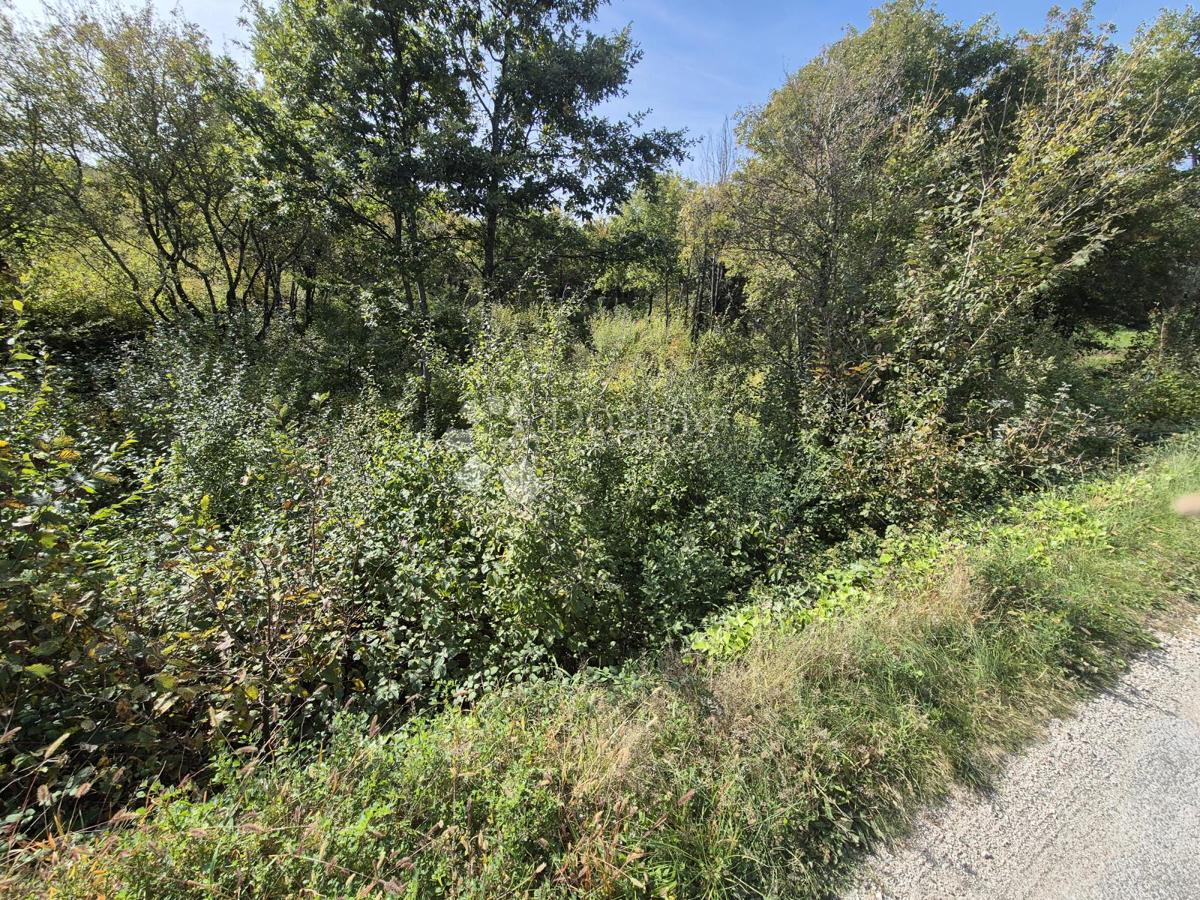 Zazidljivo zemljišče Labin, 1.506m2