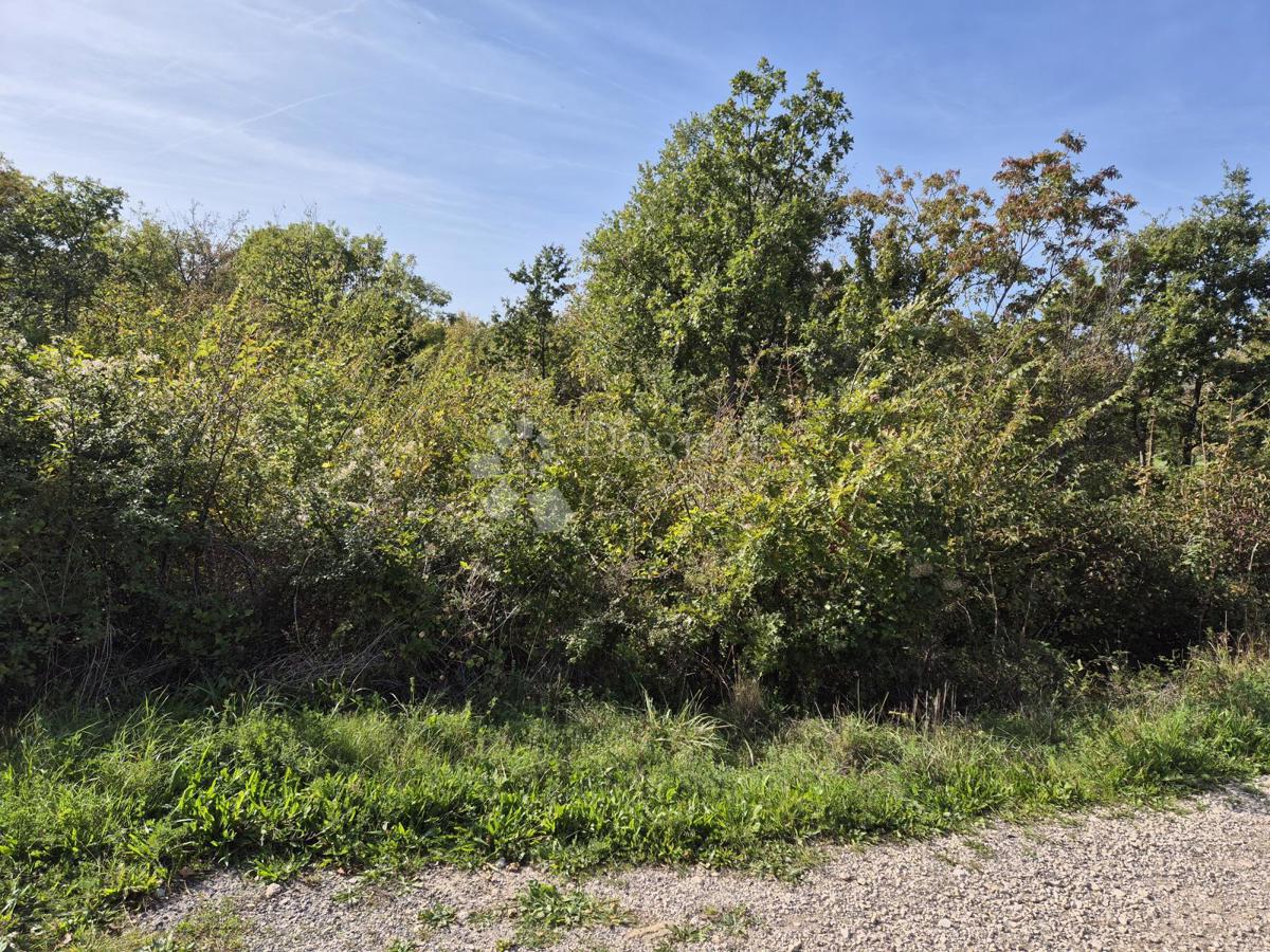 Zazidljivo zemljišče Labin, 1.506m2