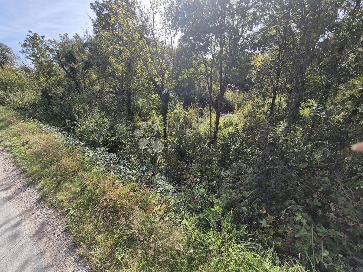 Zazidljivo zemljišče Labin, 1.506m2